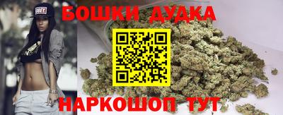 прущие грибы Краснодар