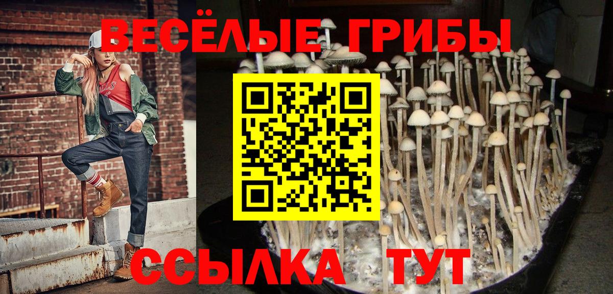 Галлюциногенные грибы мицелий  Вход с VPN  Галлюциногенные грибы прущие грибы  Калач-на-Дону 